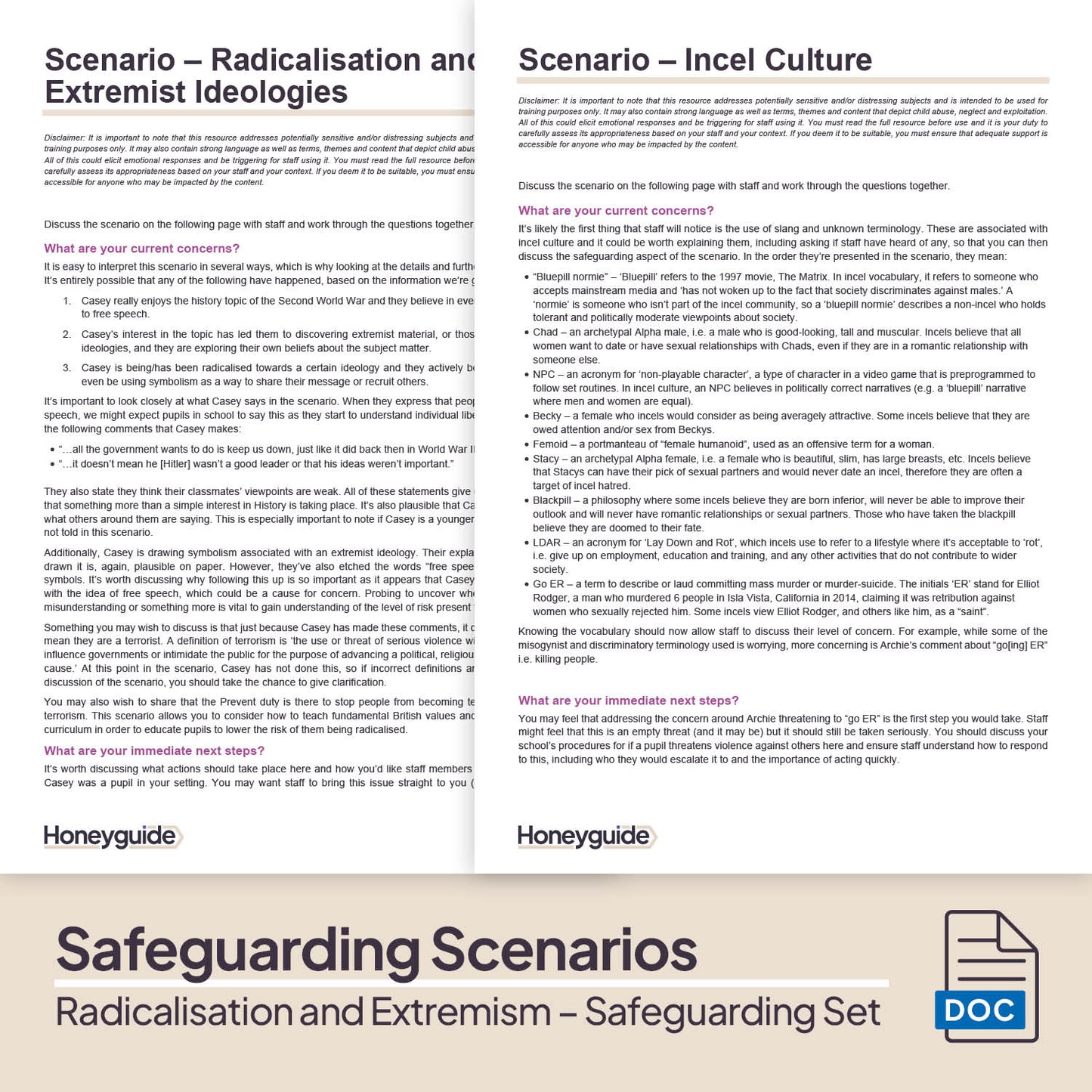 Radicalisation and Extremism: Themed Safeguarding Set