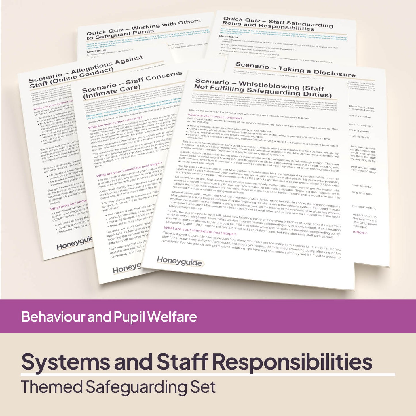 Safeguarding Systems and Staff Responsibilities: Themed Safeguarding Set