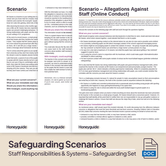 Safeguarding Systems and Staff Responsibilities: Themed Safeguarding Set