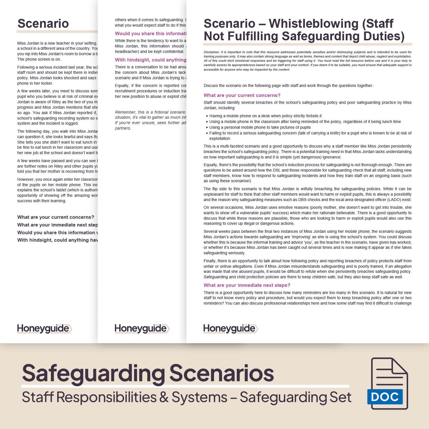 Safeguarding Systems and Staff Responsibilities: Themed Safeguarding Set