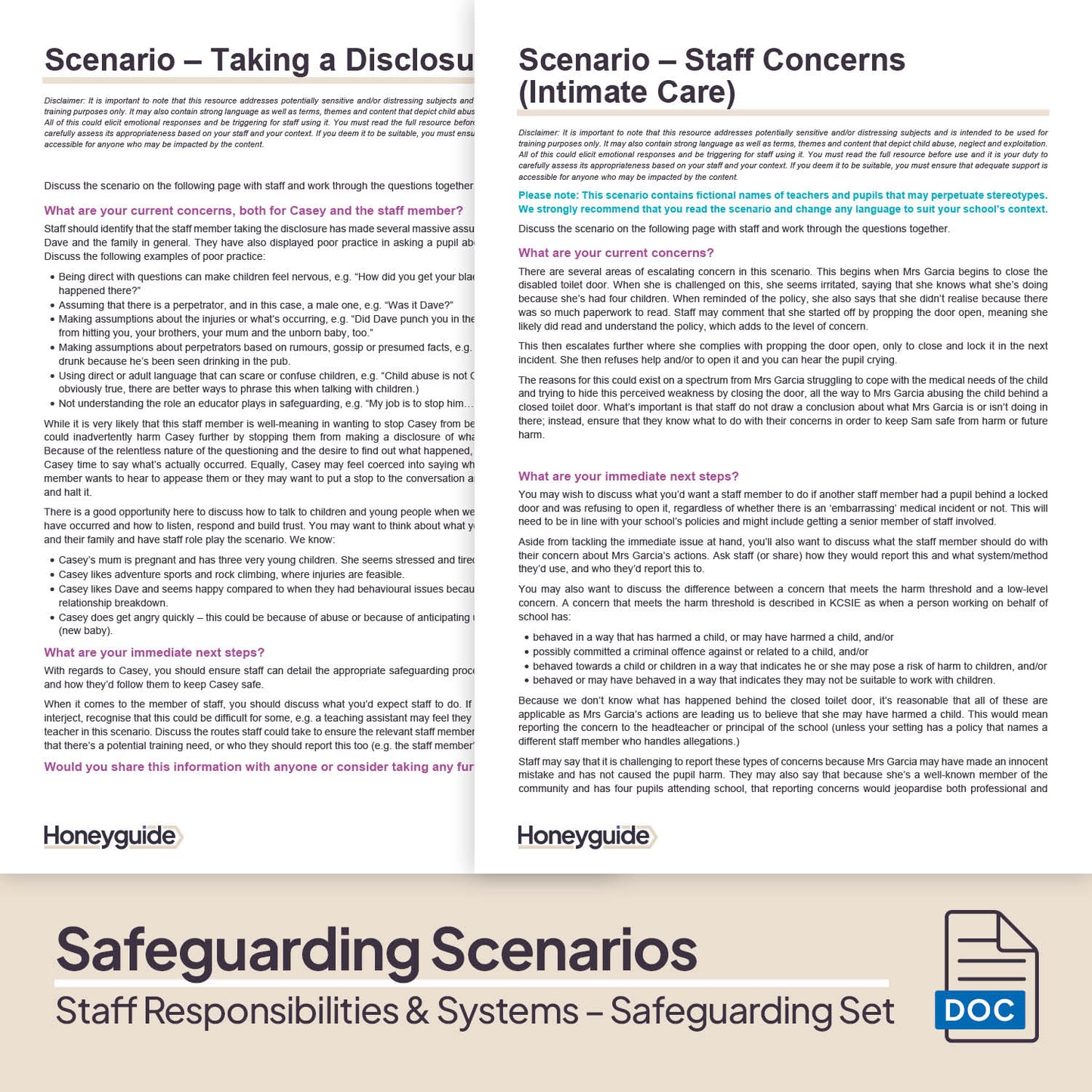 Safeguarding Systems and Staff Responsibilities: Themed Safeguarding Set