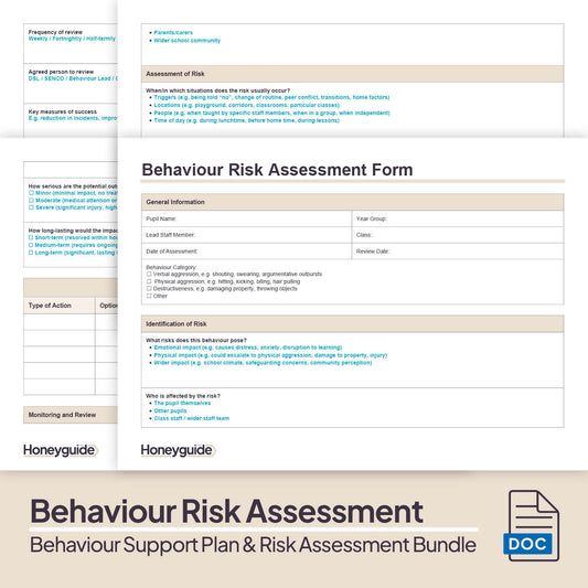 Behaviour Support Plan and Risk Assessment Bundle