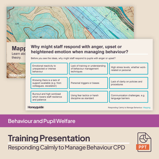 Responding Calmly to Manage Behaviour: CPD Training Bundle