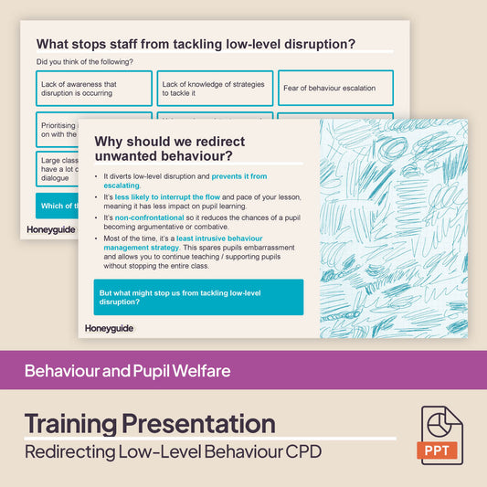 Redirecting Low-Level Behaviour: CPD Training Bundle