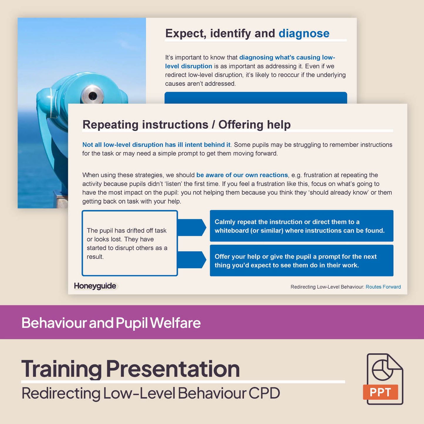 Redirecting Low-Level Behaviour: CPD Training Bundle