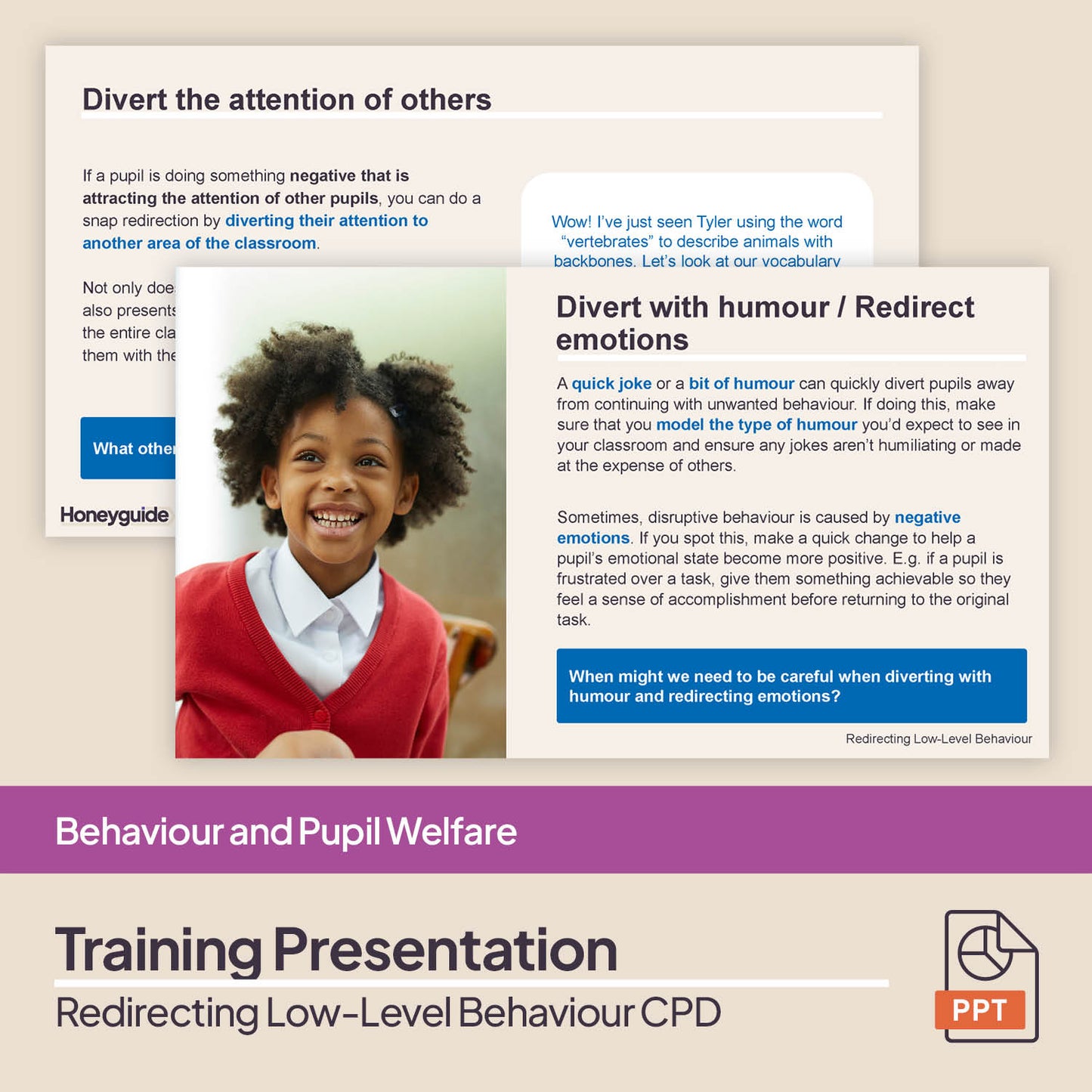 Redirecting Low-Level Behaviour: CPD Training Bundle