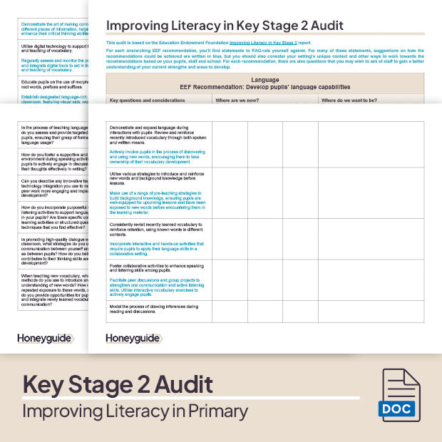 Improving Literacy in Primary - Audit Template Bundle