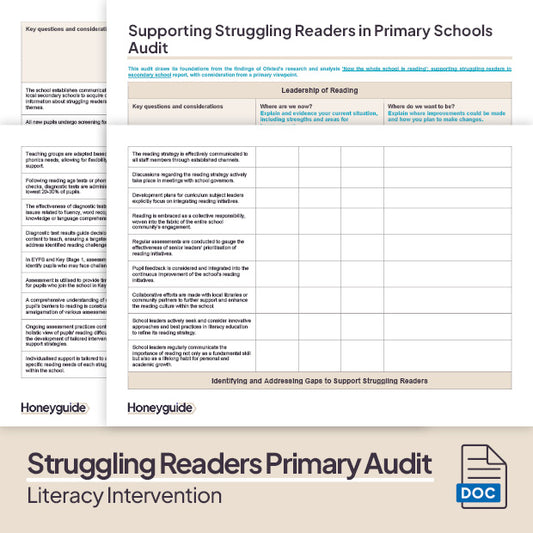 Literacy Intervention - Audit Template Bundle