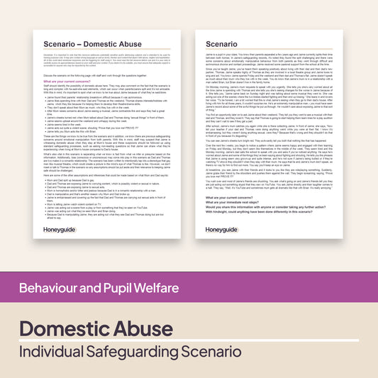 Safeguarding Scenarios - Domestic Abuse