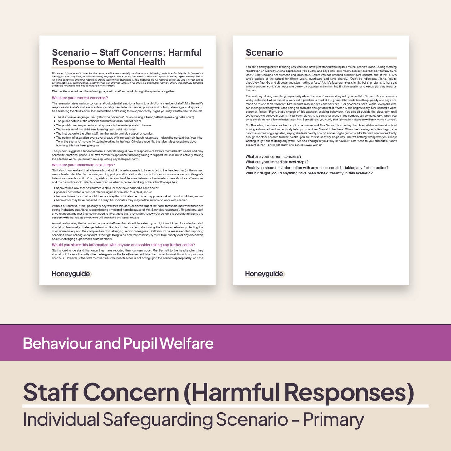 Safeguarding Scenarios - Concerns about Staff