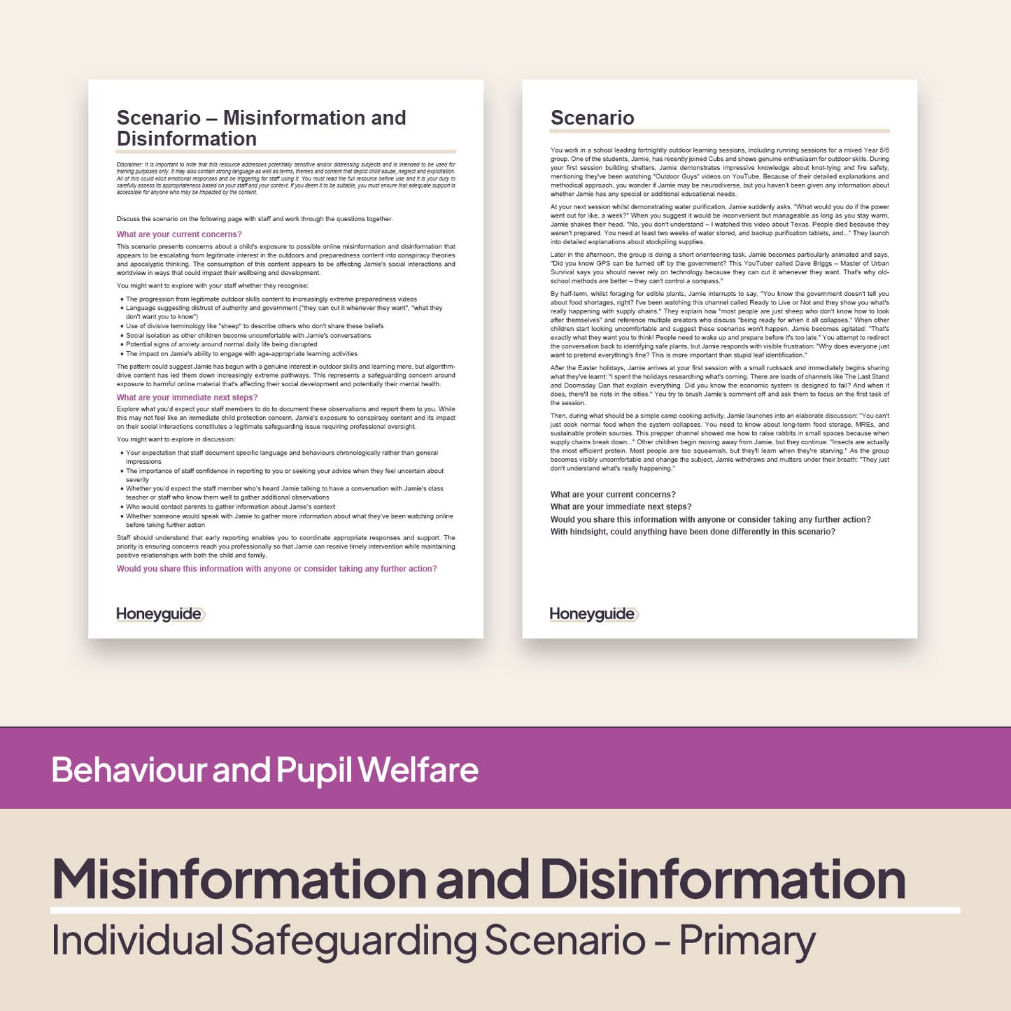 Safeguarding Scenarios - Online Harms