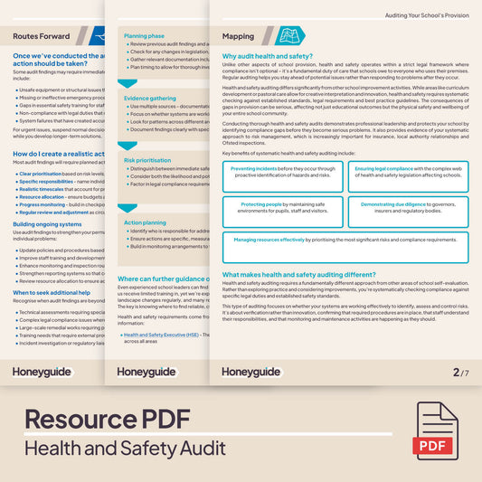 Health and Safety Audit and Action Plan