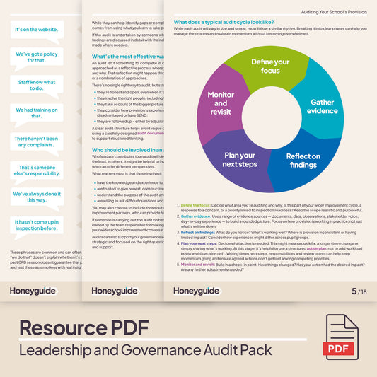 Leadership and Governance Audit Pack (2025)