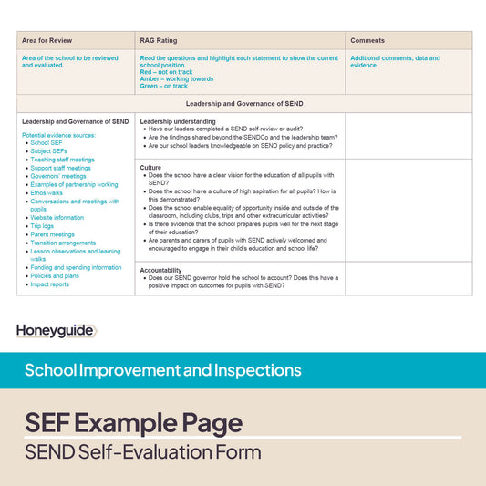 SEND Self-Evaluation Form Template