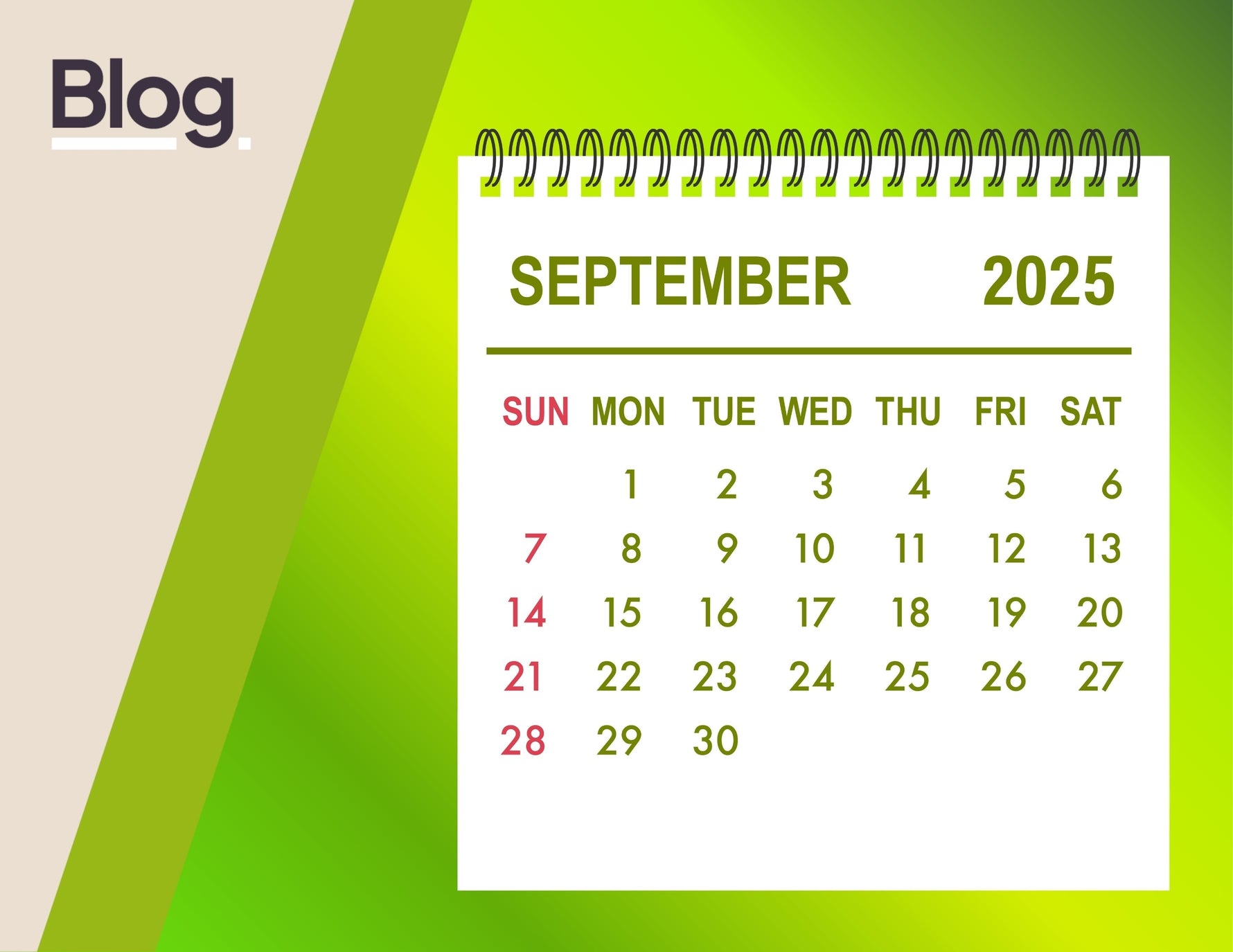 How to Plan an Effective INSET Day This September