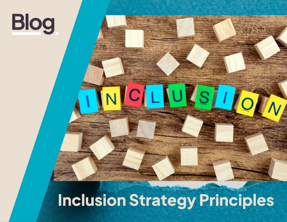 What do the inclusion strategy principles look like in practice?