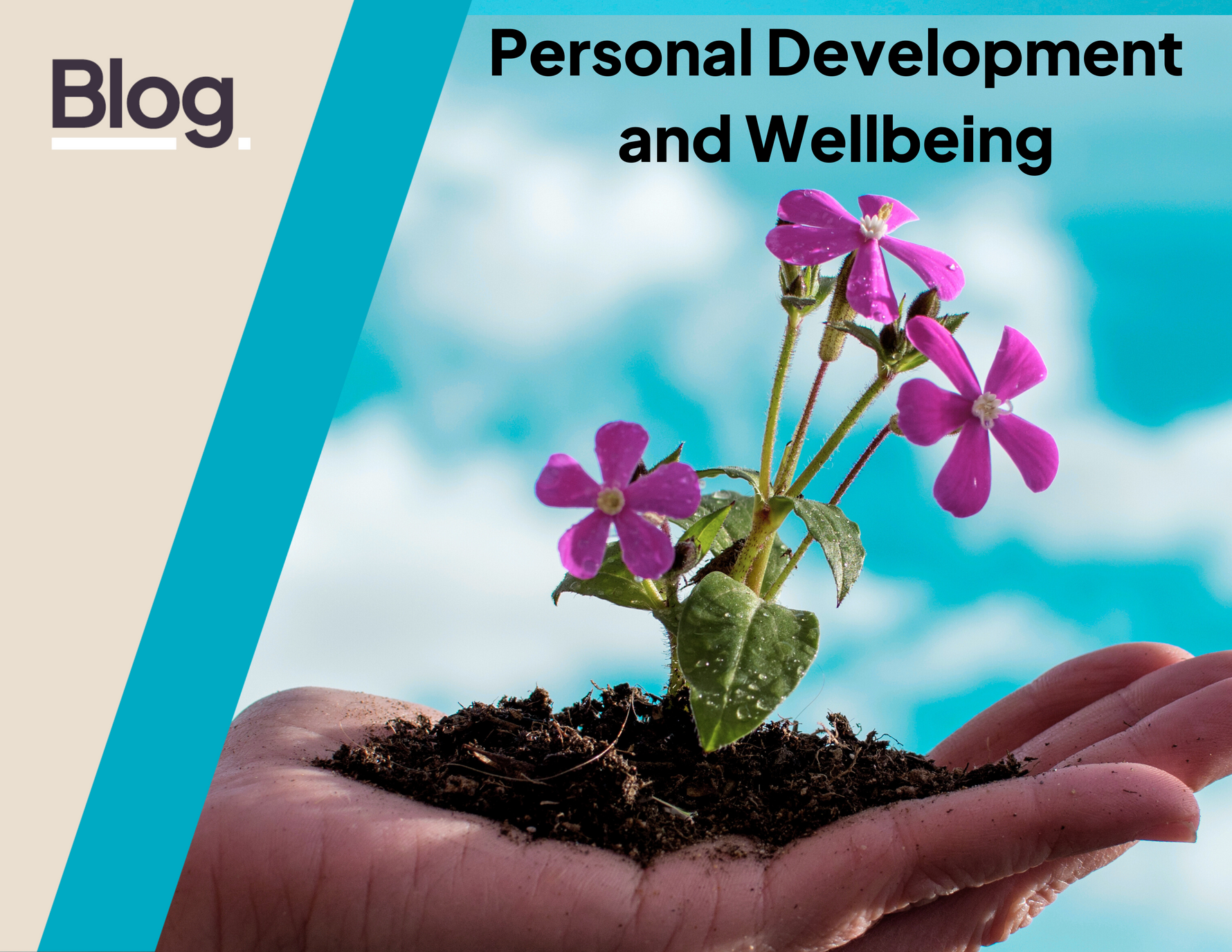 Ofsted 2025 Personal Development and Wellbeing: What Schools Need to Know