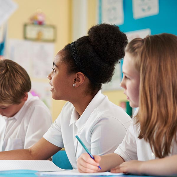 School Improvement and Inspections