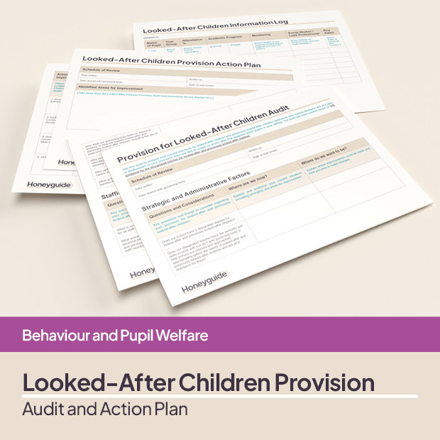 Looked-After Children Provision Audit and Action Plan