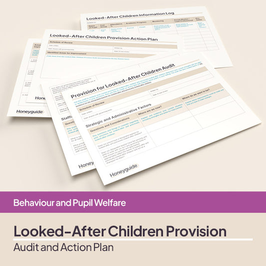 Looked-After Children Provision Audit and Action Plan