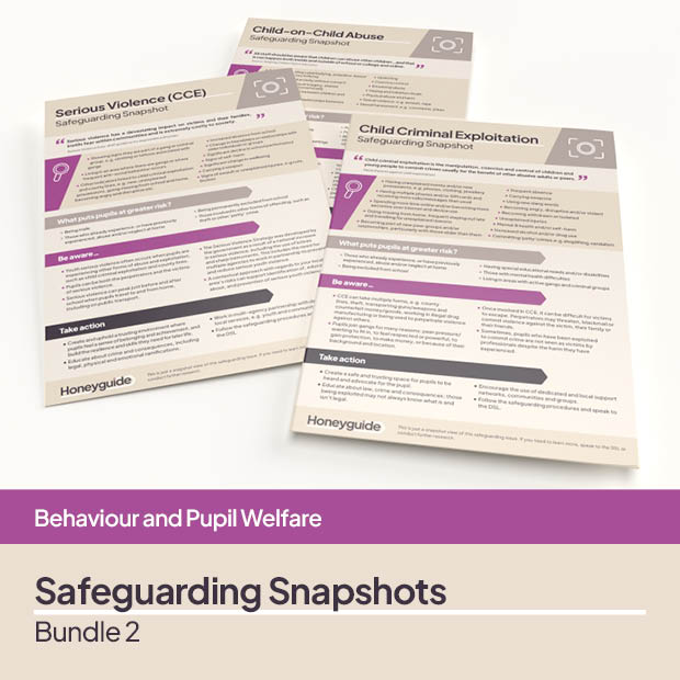 Safeguarding Snapshots Bundle 2