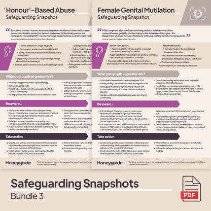 Safeguarding Snapshots Bundle 3