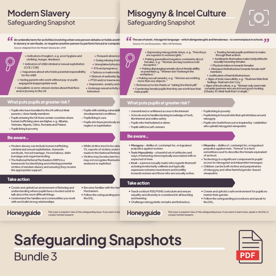 Safeguarding Snapshots Bundle 3
