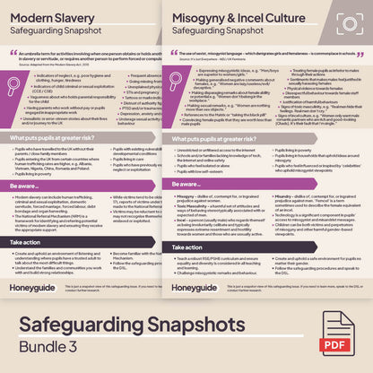 Safeguarding Snapshots Bundle 3