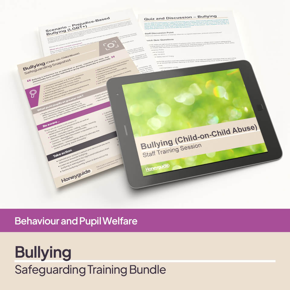 Bullying: Safeguarding Training Bundle