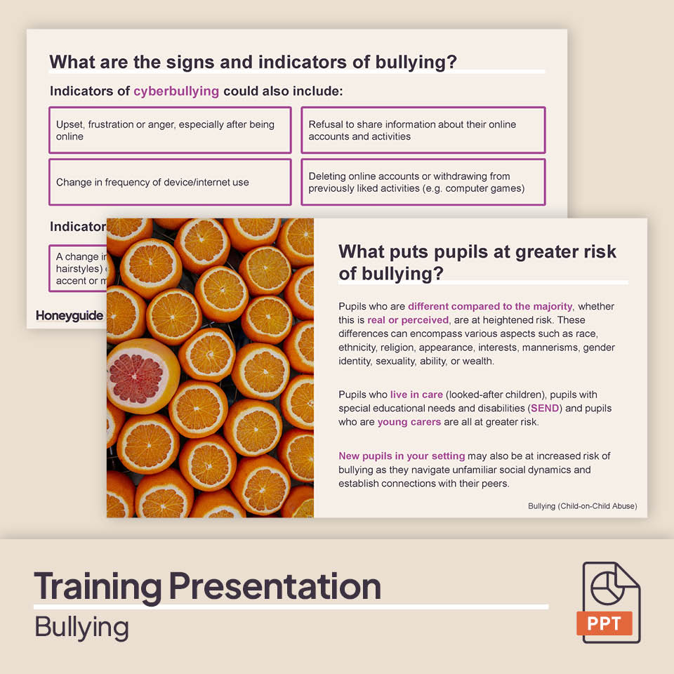 Bullying: Safeguarding Training Bundle