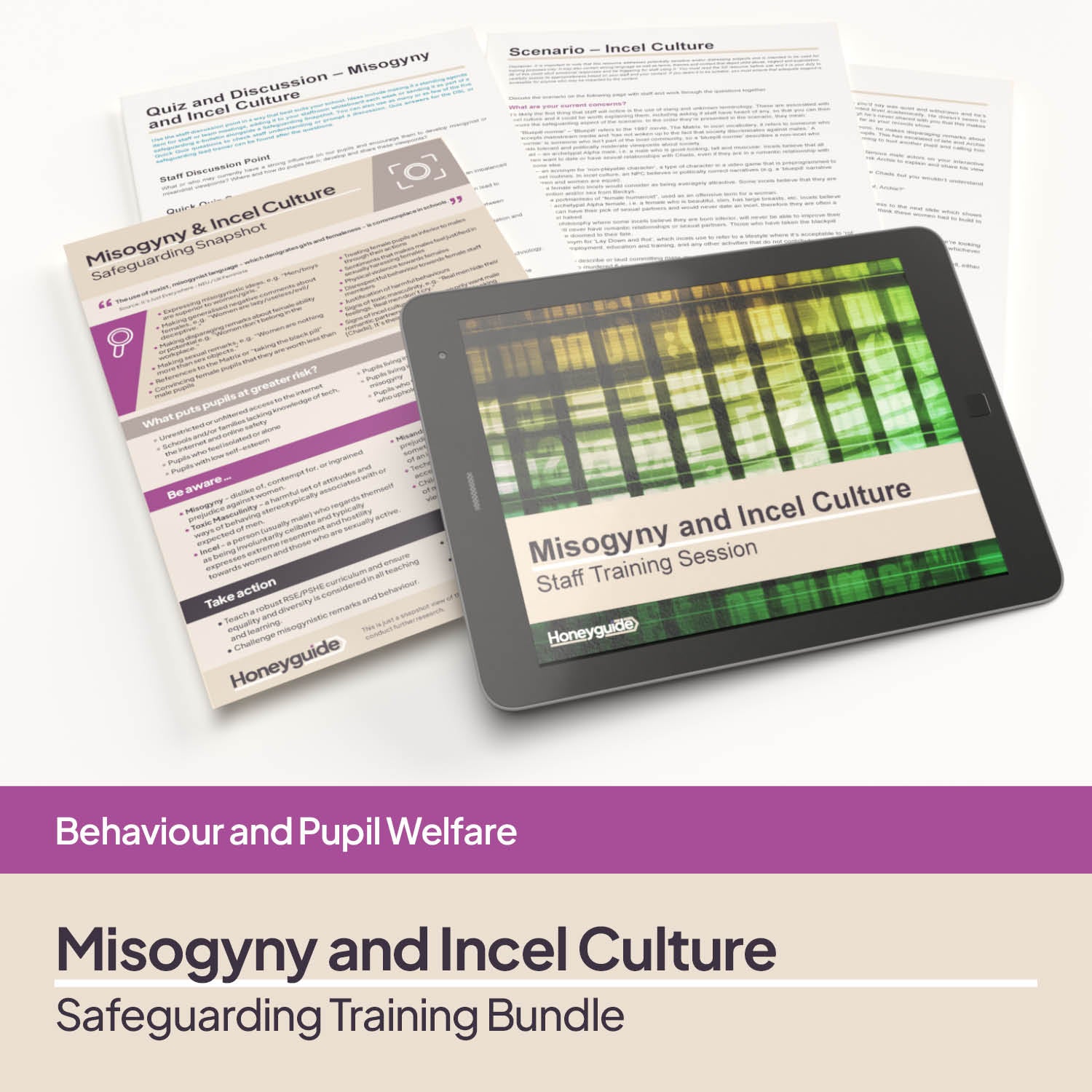 Misogyny and Incel Culture: Safeguarding Training Bundle