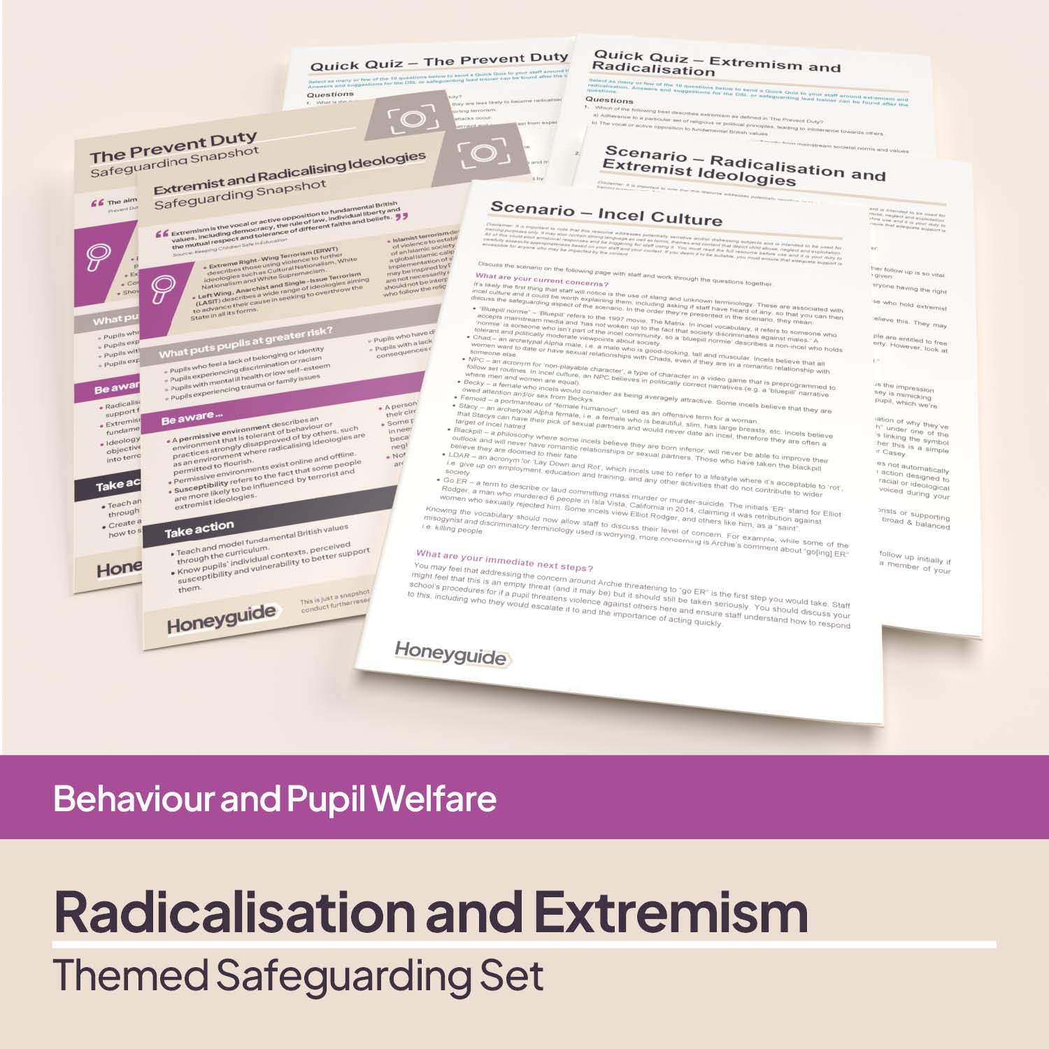 Radicalisation and Extremism: Themed Safeguarding Set