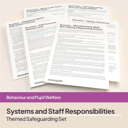 Safeguarding Systems and Staff Responsibilities: Themed Safeguarding Set