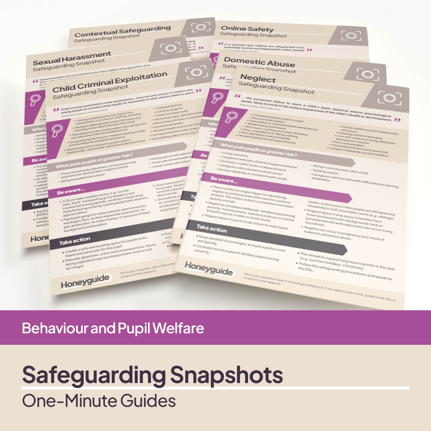 Safeguarding Snapshots