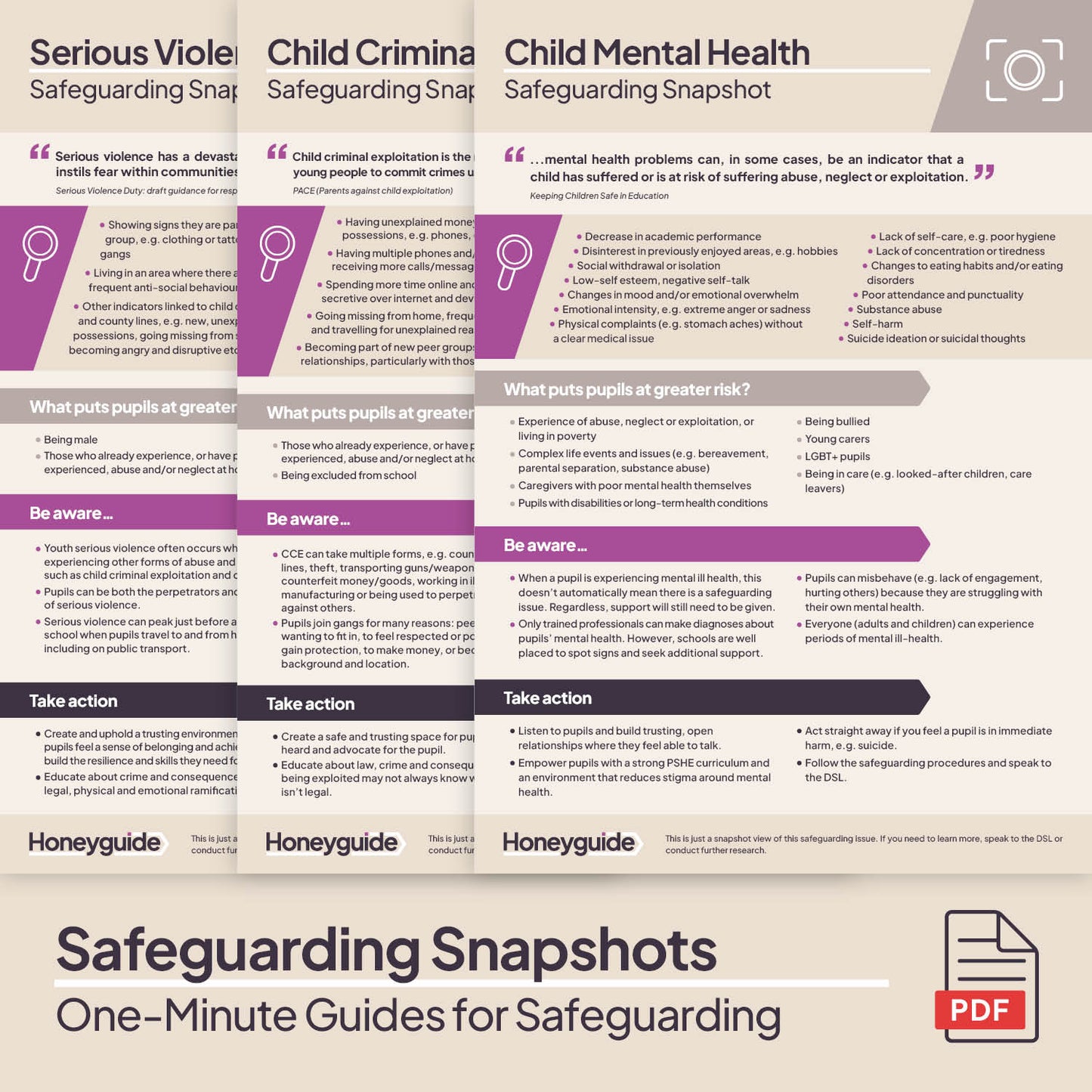 Safeguarding Snapshots