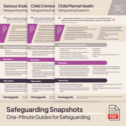 Safeguarding Snapshots