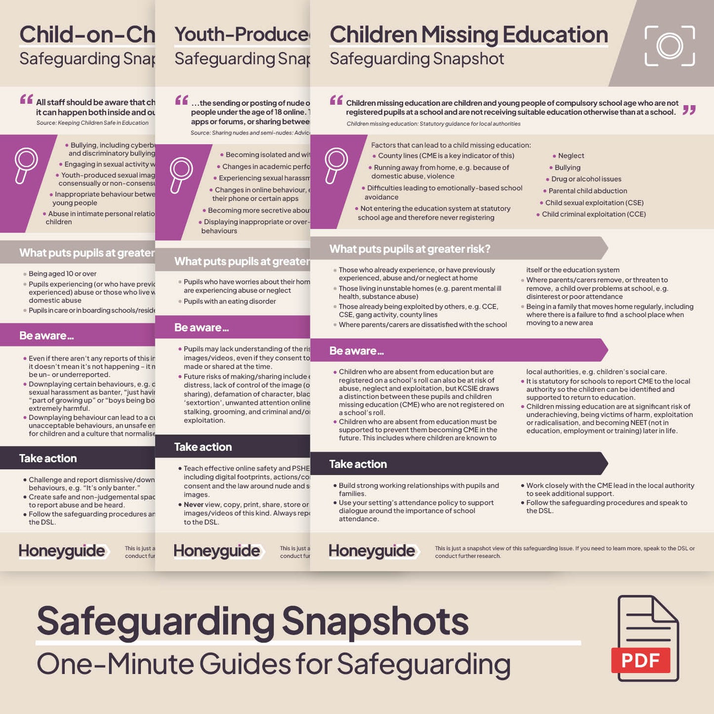 Safeguarding Snapshots