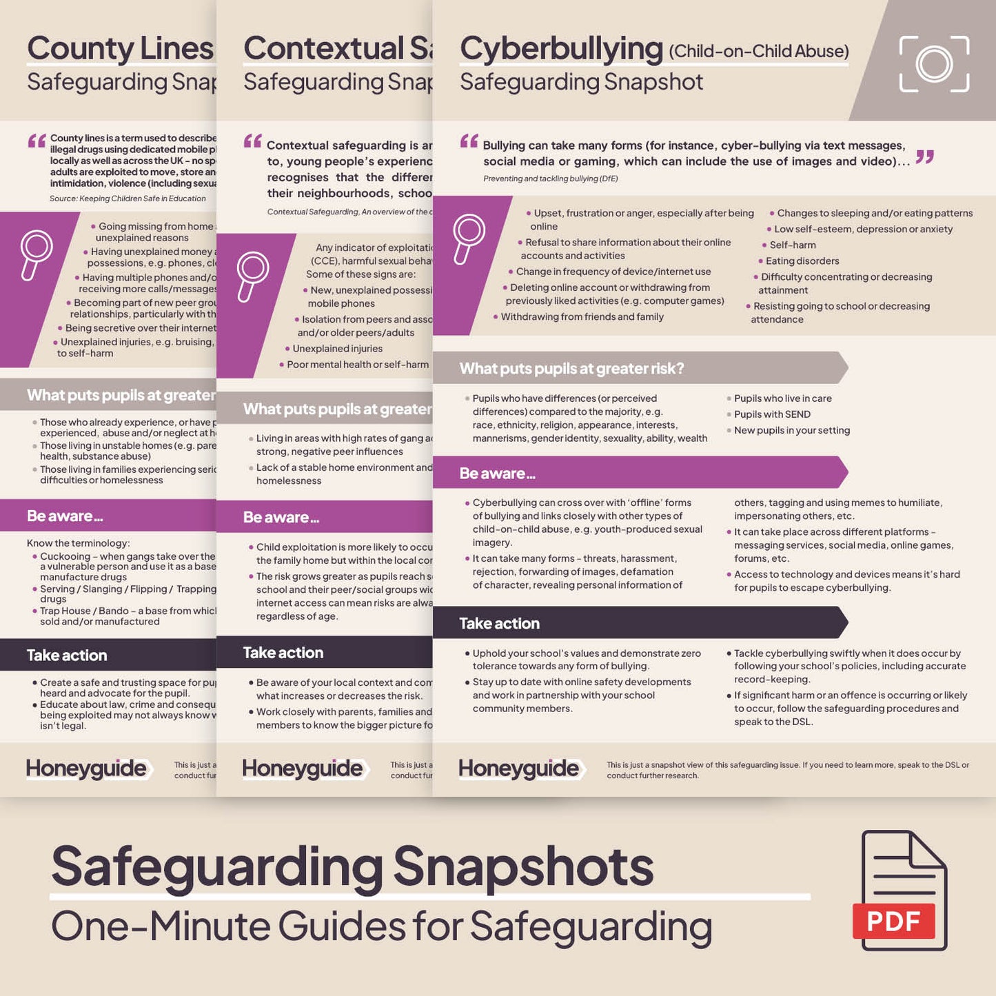 Safeguarding Snapshots