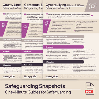 Safeguarding Snapshots