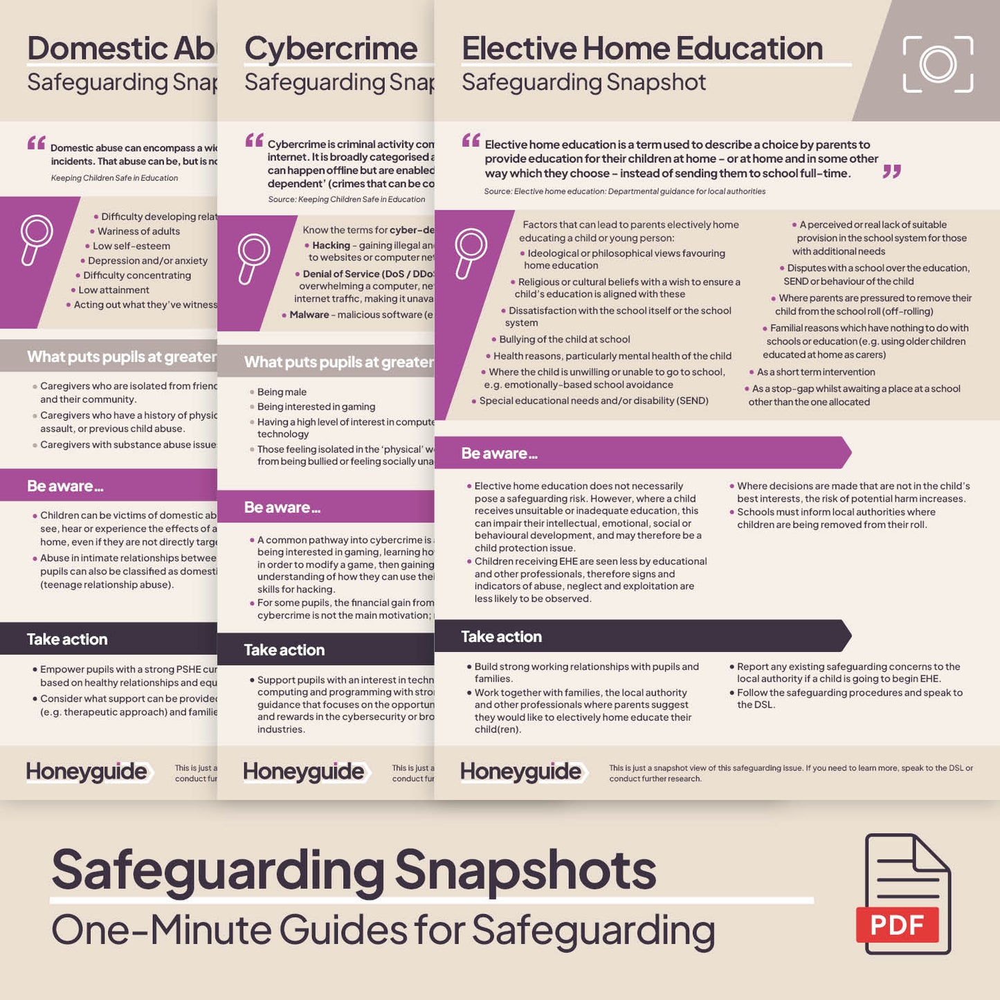 Safeguarding Snapshots