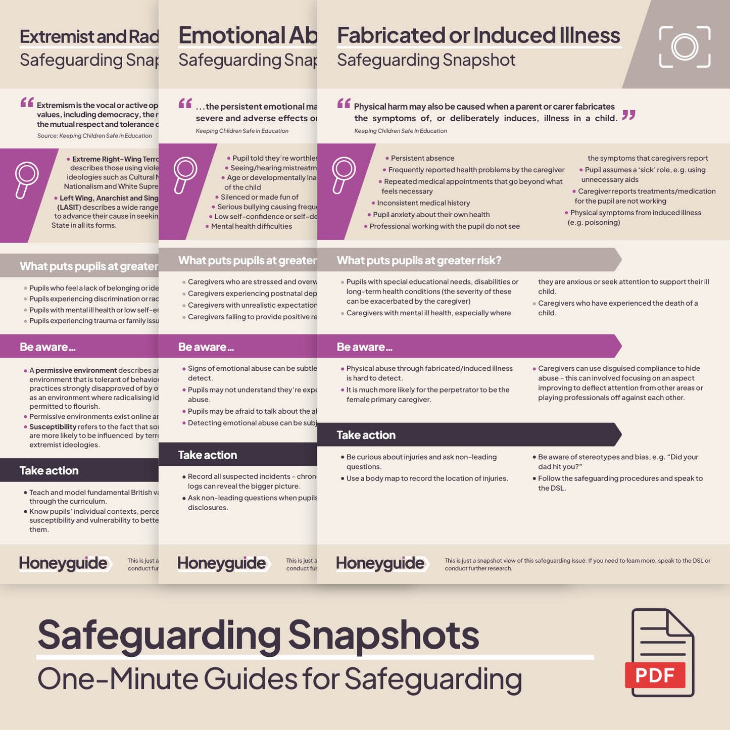 Safeguarding Snapshots