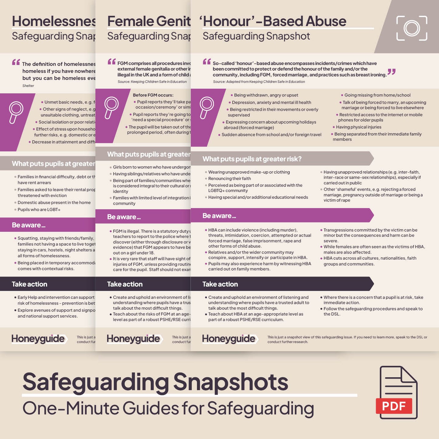 Safeguarding Snapshots