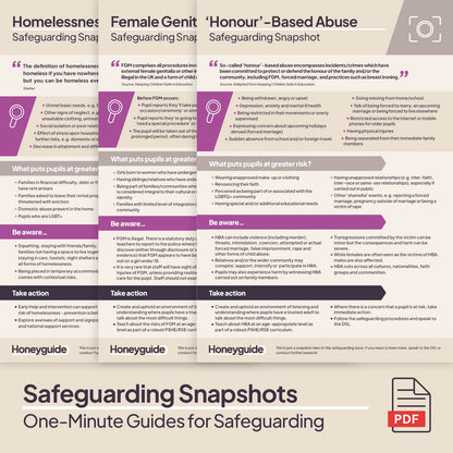 Safeguarding Snapshots