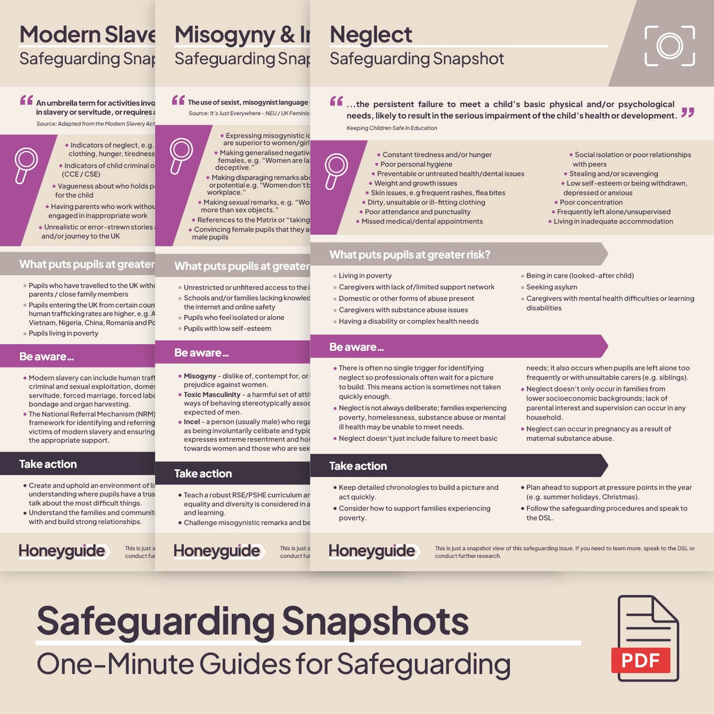 Safeguarding Snapshots