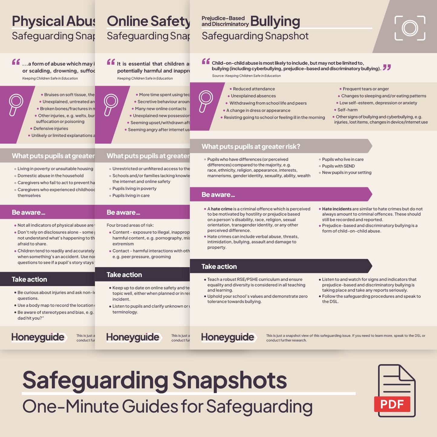 Safeguarding Snapshots