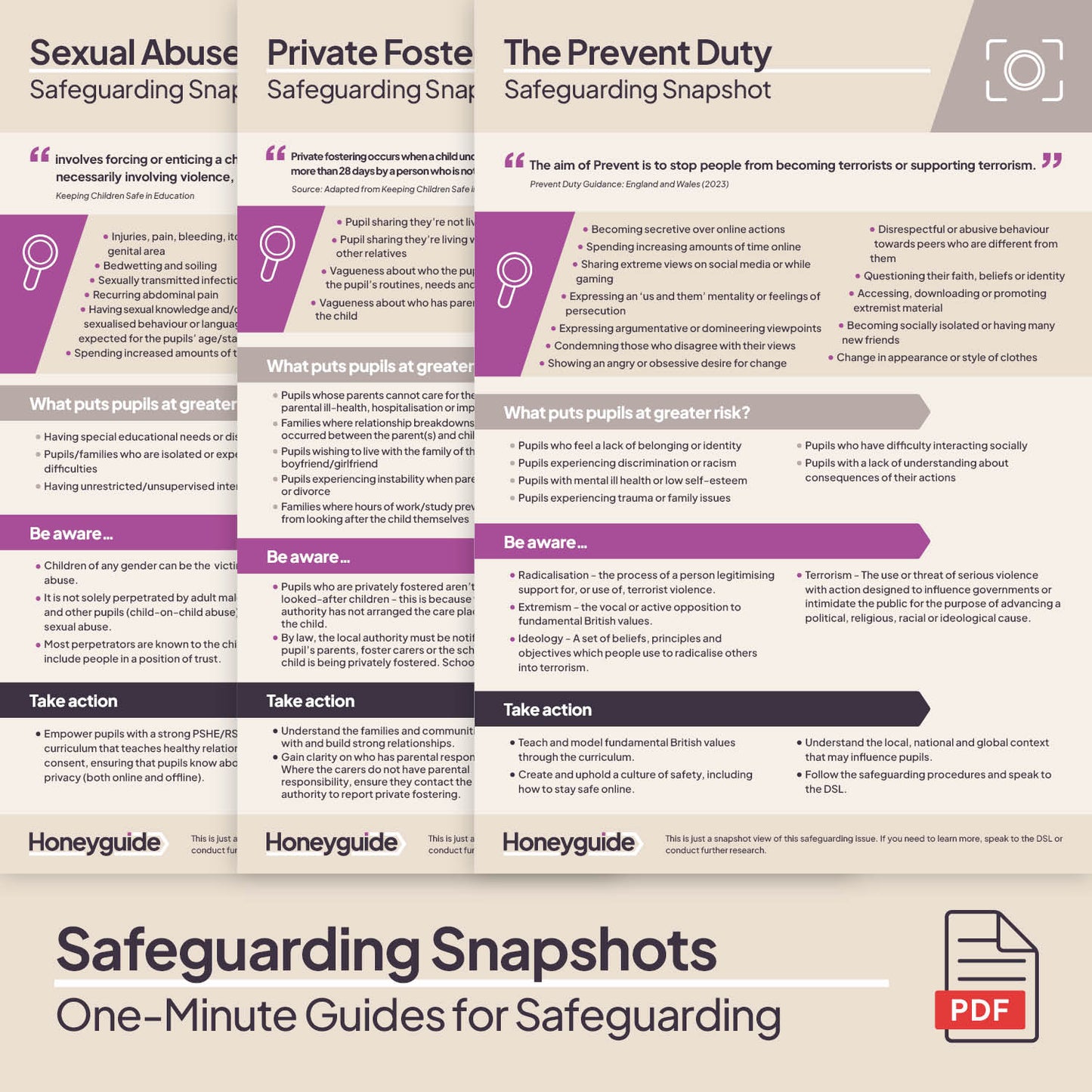 Safeguarding Snapshots