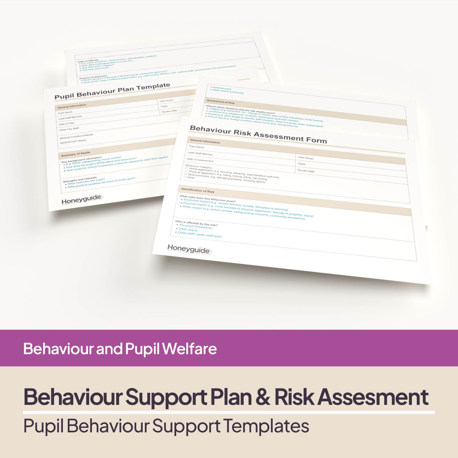 Pupil Behaviour Support Plan Template & Behaviour Risk Assessment Pack ...
