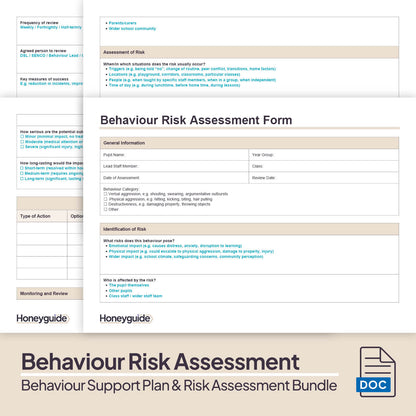 Behaviour Support Plan and Risk Assessment Bundle