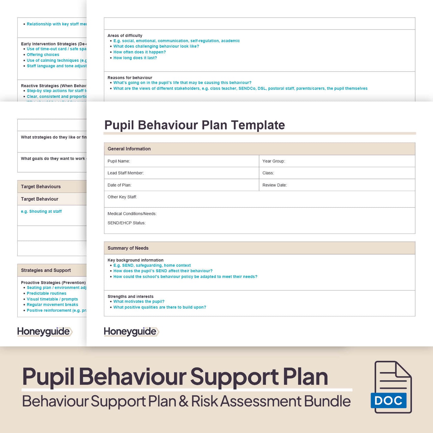 Behaviour Support Plan and Risk Assessment Bundle