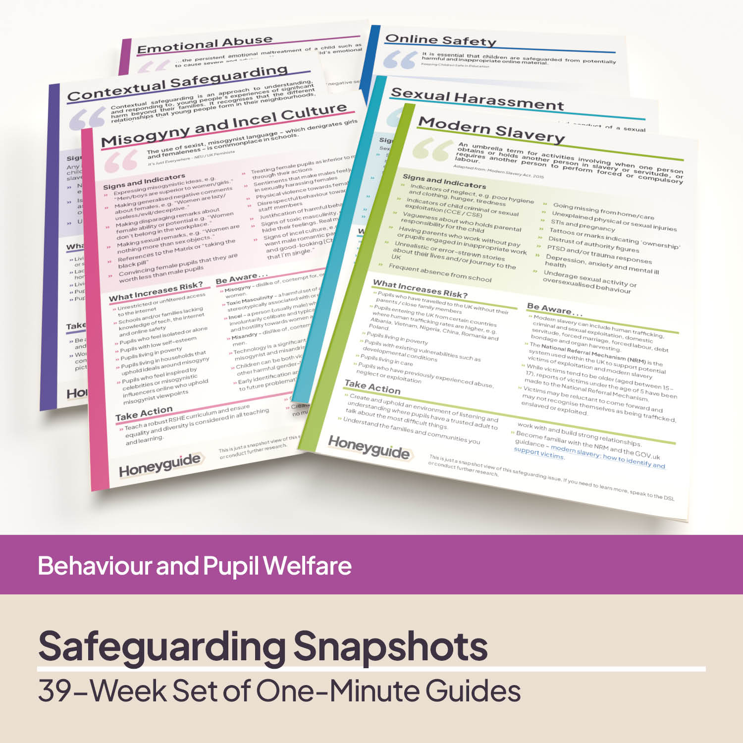 39-Week Safeguarding Snapshots Bundle